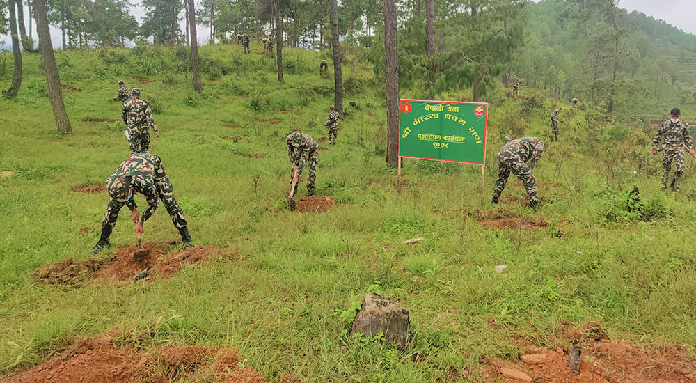 सेनाको वृक्षारोपण अभियान: सिन्धुपाल्चोकमा रोपिए ११ हजार रुखका विरुवा