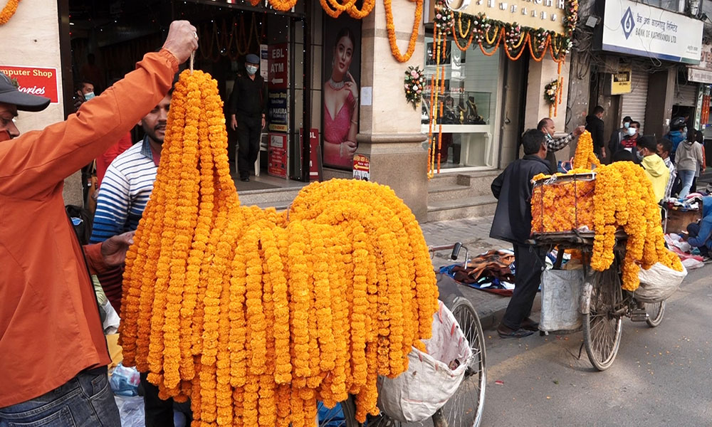 भारतीय फूलले बजार कब्जा, नेपाली किसान निराश