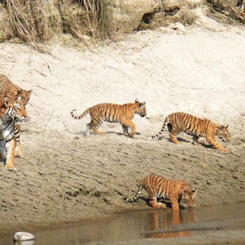 लुम्बिनीमा पर्यटन प्रवर्द्धन गर्न ‘घुम्न जाउँ बर्दिया’ अभियान सञ्चालन गरिने