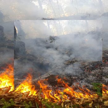 डढेलो र आगलागीको जोखिम : तयारी थाल्न विज्ञको सुझाव