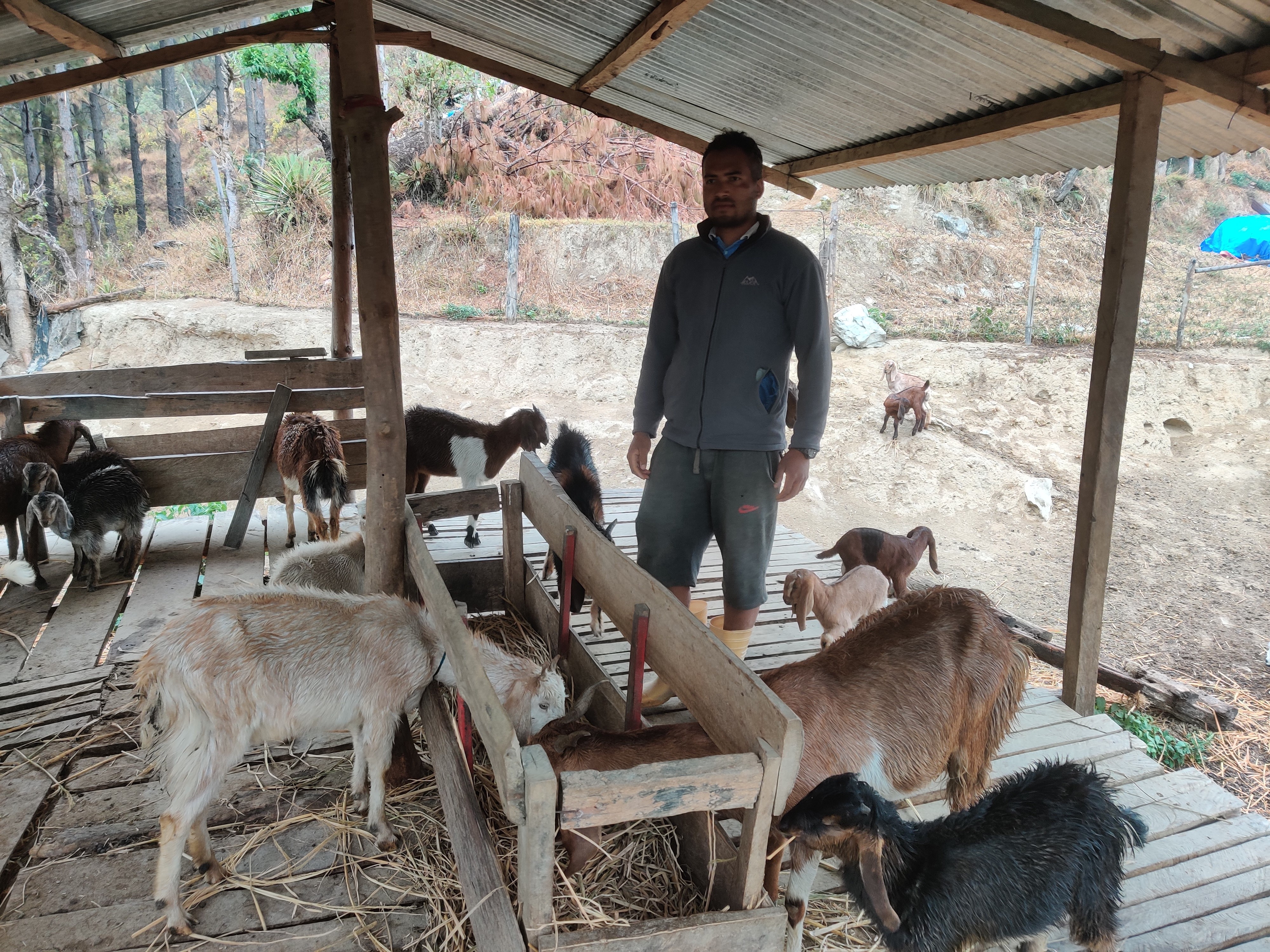 लिसंखुपाखरमा प्रभावकारी बन्दै ‘अध्यक्ष उद्यमशीलता’ कार्यक्रम, गाउँमै मनग्ये कमाउँछन् स्थानीय