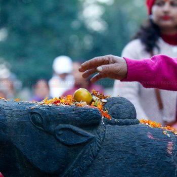 मार्ग शीर्ष कृष्ण चतुर्दशीः शतबीजारोपण मार्ग, शिवालयमा शतबीज छरिँदै