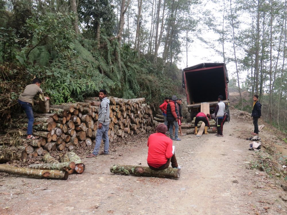 निःशुल्क दाउरा बाँड्छन् हरेन्द्र