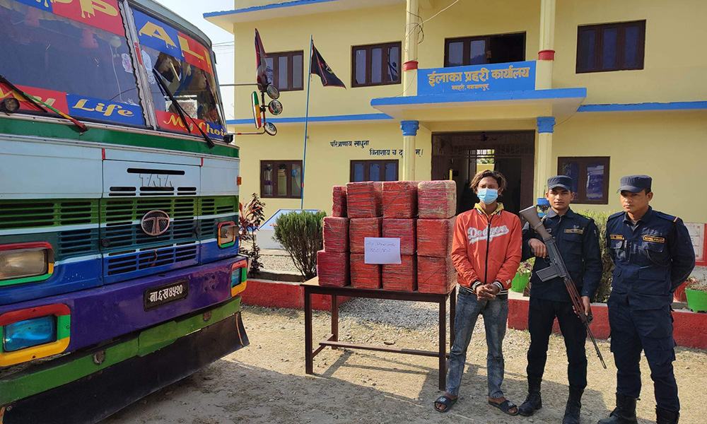 ट्रकबाट १५८ किलो गाँजा बरामद- सहचालक पक्राउ, चालक फरार