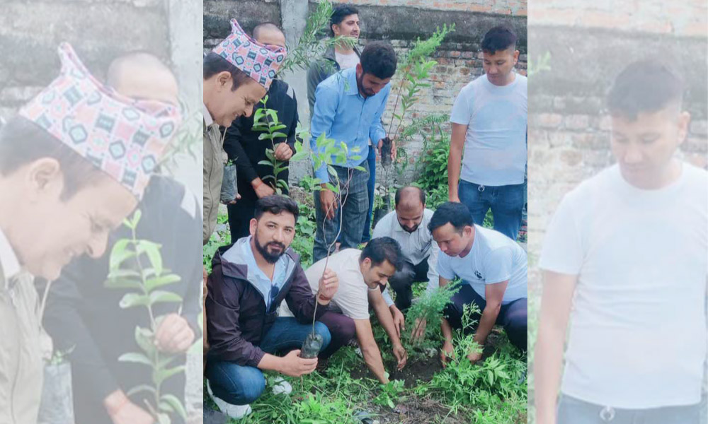 अखिल क्रान्तिकारीद्वारा थप चार वटा क्याम्पसमा वृक्षारोपण