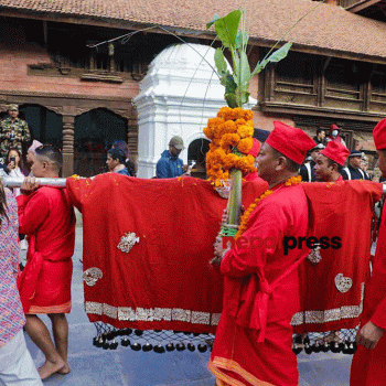 आज बडादशैंको साताैं दिन: फूलपाती भित्र्याइँदै