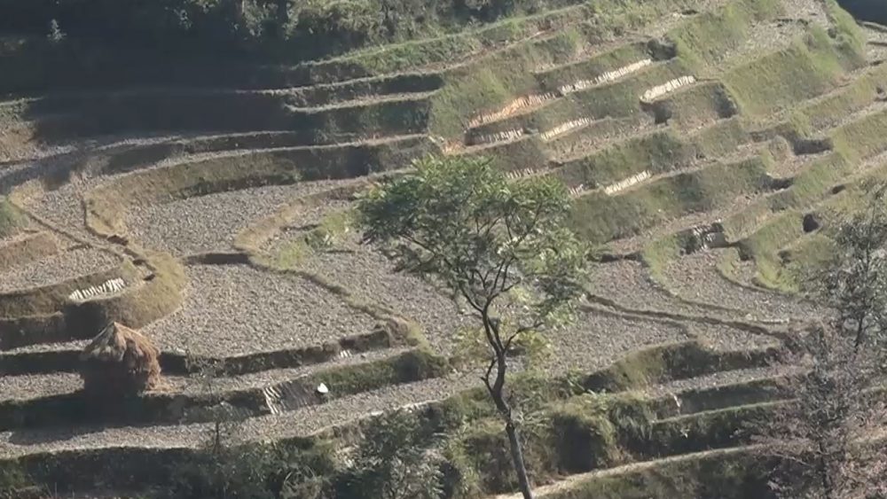 ककनीवासीका पीडा : फोहोरको गन्धले हुँदैन उब्जनी, भएको उब्जनी बिकाउनै गाह्रो (भिडिओ)