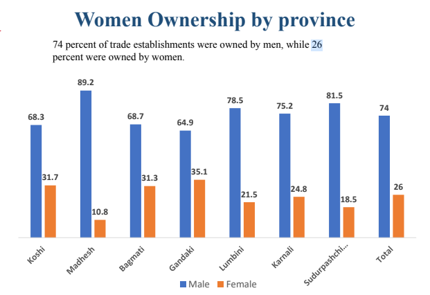 ७४ प्रतिशत व्यवसाय पुरुषको पकडमा, मधेशमा महिला व्यवसायी १० प्रतिशत मात्र