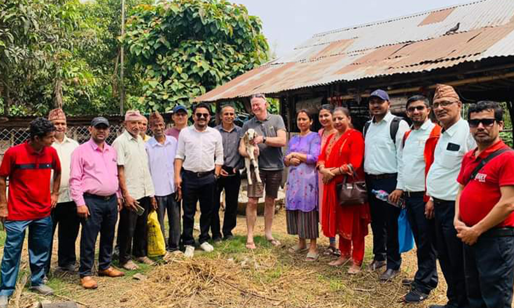 सहारा नेपालद्वारा झापामा विदेशी पशुविज्ञसहितको पशुप्राविधिक सेवा सुरु