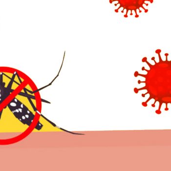 कोभिड-१९ र डेंगुसहित ५२ रोग सरुवा रोगमा सूचीकृत, अन्य कुन-कुन ?