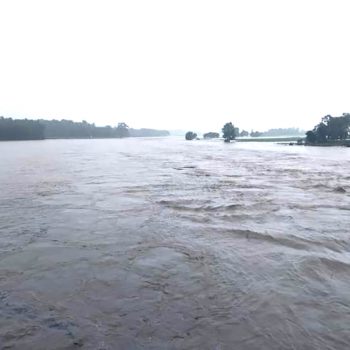 बाढीले झापामा दुई जनालाई बगायो, मोरङमा ९४ परिवार विस्थापित