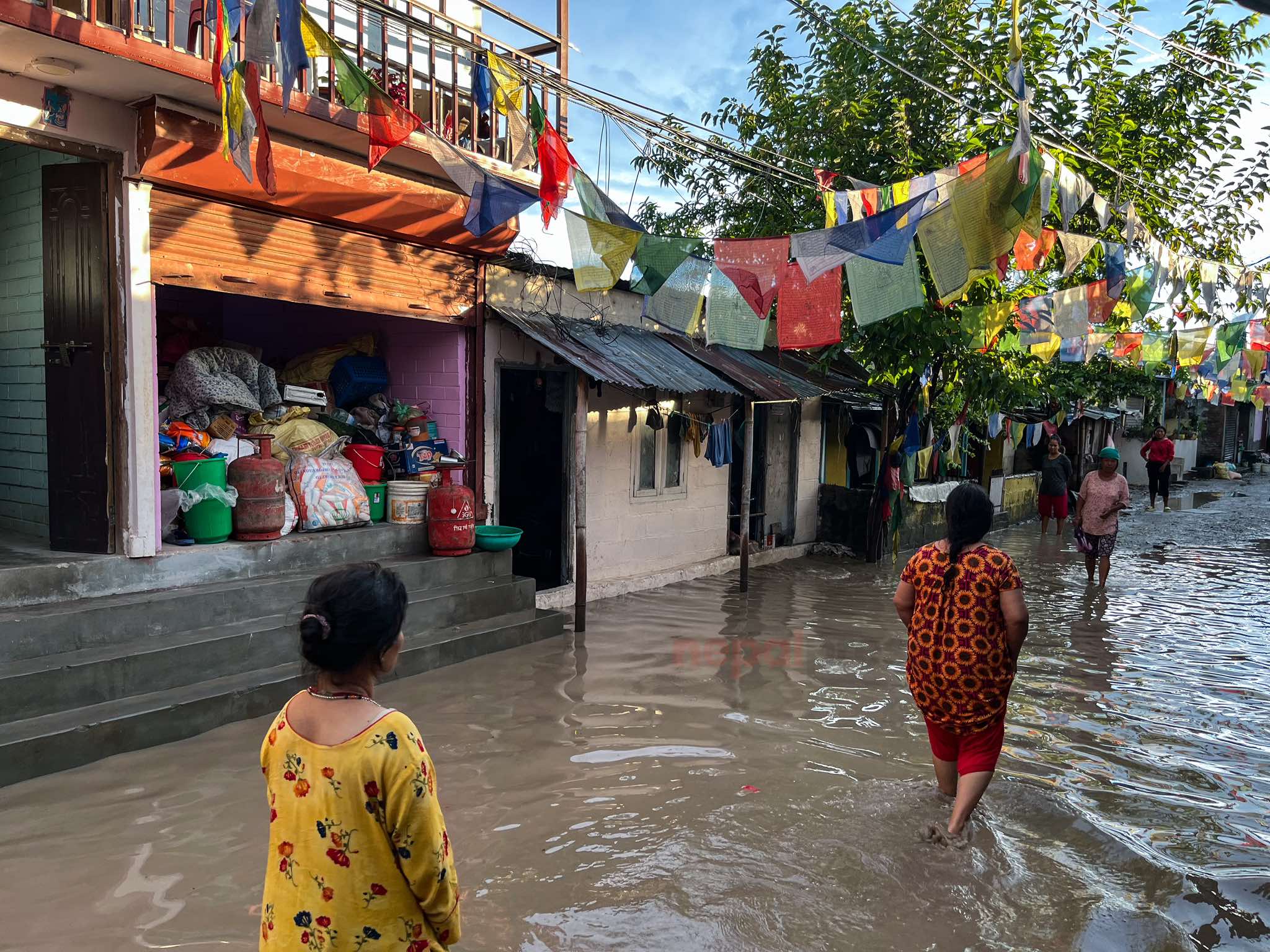 हनुमन्तेमा बाढी : बालकोटदेखि सिरुटारसम्म ७० भन्दा बढी घर डुबानमा, लाखौँको क्षति (भिडिओ)