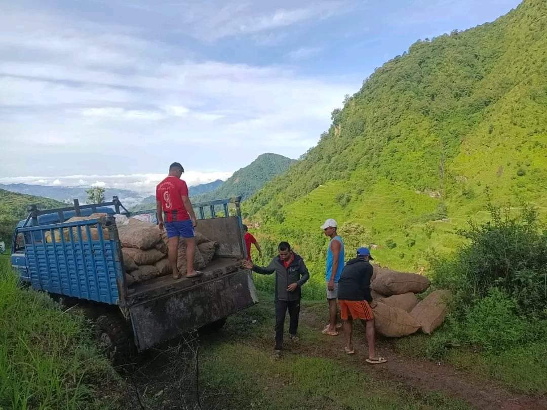 आलुले बजार पाउन थालेपछि उत्साहित छन् जुगलका किसान