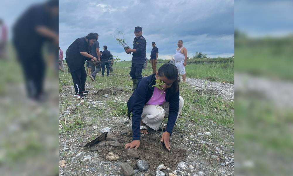 पर्यावरण संरक्षण गर्न झापामा धमाधम वृक्षारोपण गरिँदै