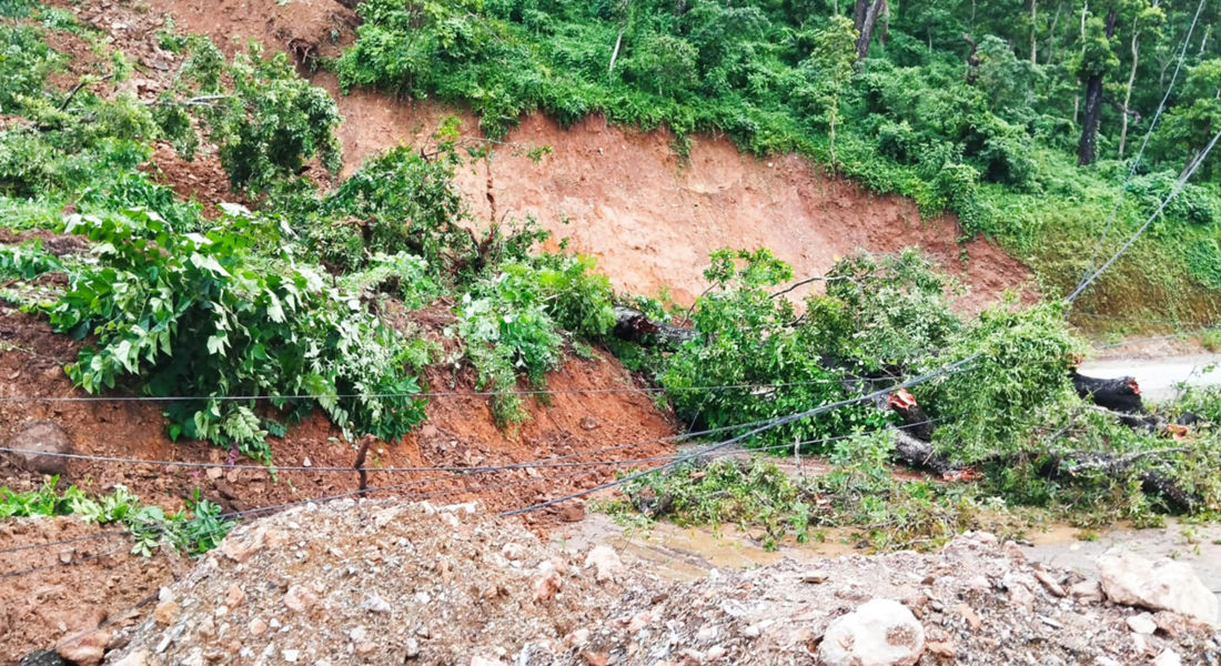 पहिरोमा वडासदस्यसहित दुईजना पुरिए