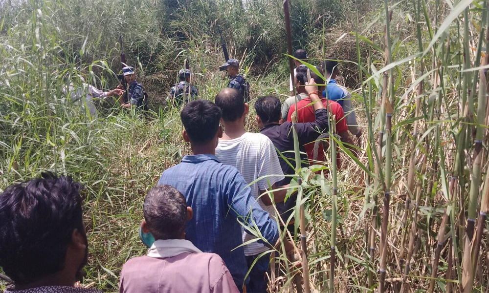 मान्छे खाएको बाघ नियन्त्रणमा आउँदा गाउँमा फेरि अर्को जनवारको त्रास, तीन बाख्रा मारिए