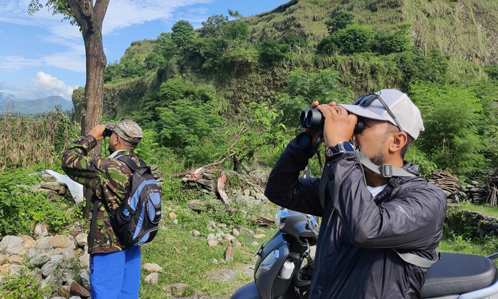 कञ्चनपुरमा गिद्ध गणना सुरु