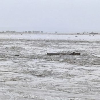 विपदमा देशभर ४९ जनाको मृत्यु, ४० जना बेपत्ता