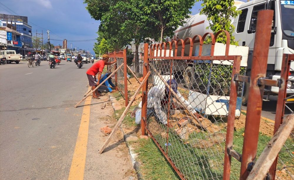 सडकका बीचमा लगाइएका बिरुवालाई जोगाउन तारजाली