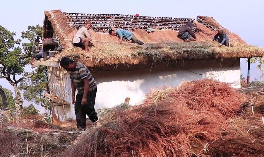 विपदबाट जोगाउन खरको छाना हटाएर जस्तापाता