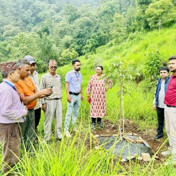 बाँदरबाट हैरान पर्वतका किसान व्यावसायिक ओखरखेतीमा