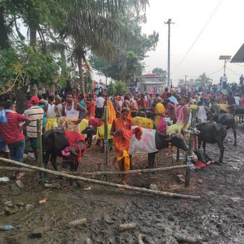 कङ्कालिनी भगवती मन्दिरमा ६२१ वटा राँगाको बलि चढाइयो