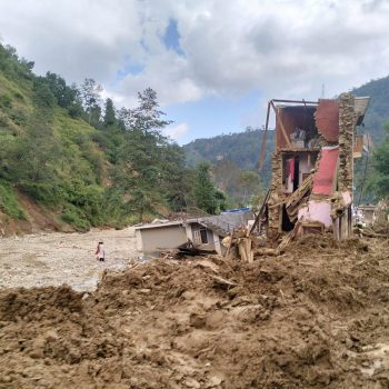 बाढीपहिरो: करिब १३ हजार रुख क्षति