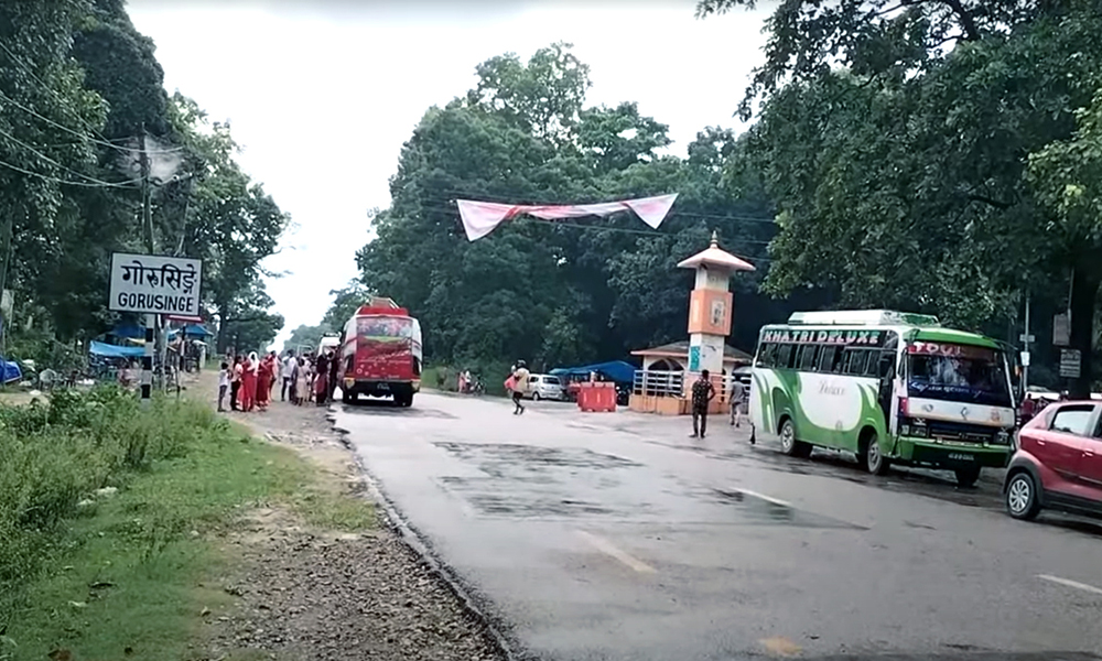 बुटवल-गोरुसिंगे सडक विस्तारमा ढिलाइ: सात हजारभन्दा बढी रुख व्यवस्थापन मुख्य चुनौती