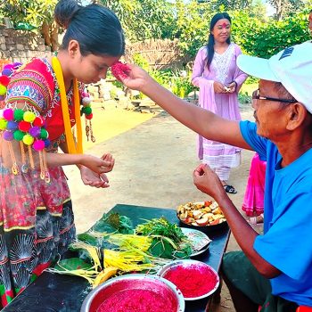 शुभ साइतमा लगाइयो बडादशैँको टीका र जमरा