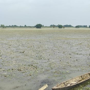 बाढीप्रभावित किसानको गुनासो- स्याहार्ने बेलाको धान बाढीले लग्यो, अब के गर्ने थाहा छैन