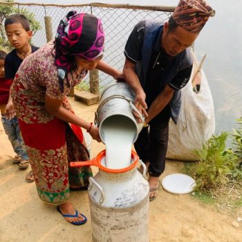 सहकारीमार्फत दूधको बजारीकरण भएपछि किसान उत्साहित