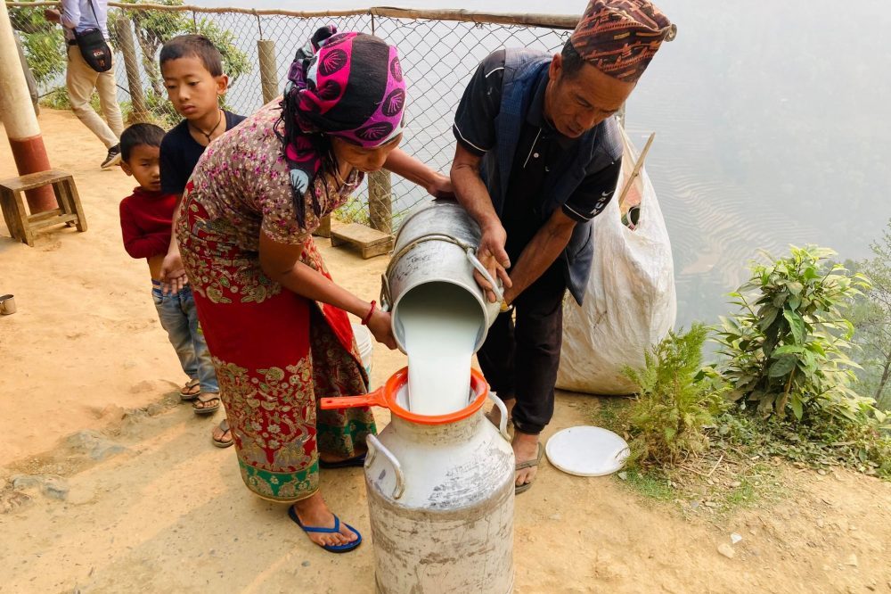 सहकारीमार्फत दूधको बजारीकरण भएपछि किसान उत्साहित