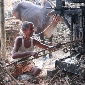 ‘सख्खर जस्तै गुलियो व्यापार’