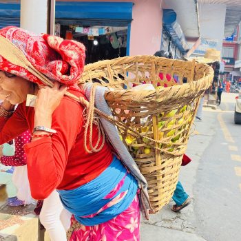 घर खर्च जुटाउन अम्बा बिक्री गरेर नुनतेलको जोहो