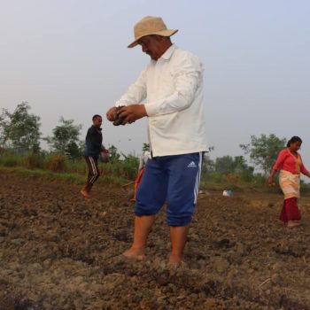 कपिलवस्तुमा आलु रोप्दै नेकपा महासचिव विप्लव, देशभर ५० बिघामा आलु लगाउने तयारी