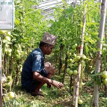 गाउँकै अगुवा किसान, गाउँले एफएम दाइ