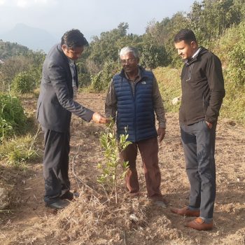 पोखराको बाँझो जग्गामा कागती खेती