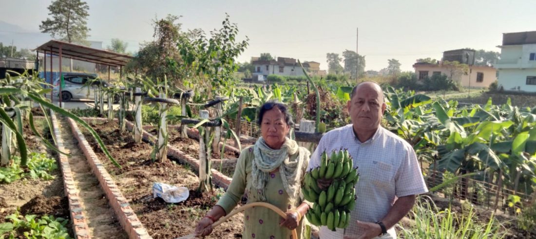 केराकै सोमरससहित ४२ वटा परिकार खुवाउने इको बनाना रिसोर्ट