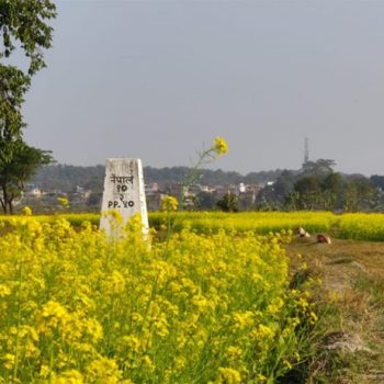 दशगजा वारिपारि पहेँलपुर तोरीबारी