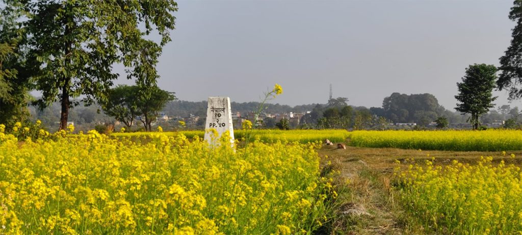 दशगजा वारिपारि पहेँलपुर तोरीबारी