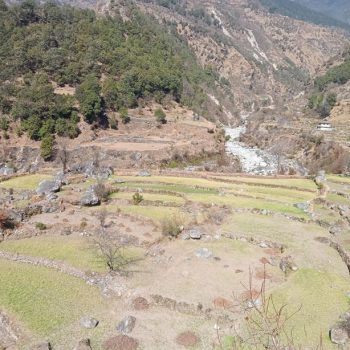 वर्षा नहुँदा हुम्लाका किसान चिन्तित