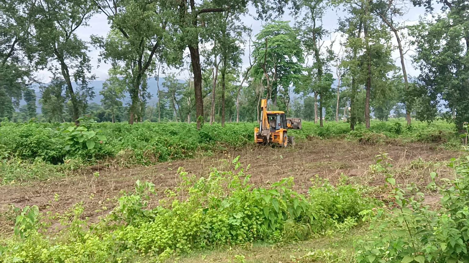 रुख कटानको अनुमतिसँगै सदरमुकाम निर्माणको बाटो खुल्यो