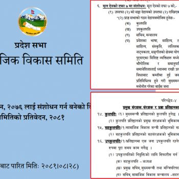 सरकारको प्रस्तावमा समितिको कैँची, पाँच वर्षपछि प्रज्ञाप्रतिष्ठान ऐनमा व्यापक संशोधन