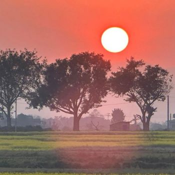 आज पुस महिनाको पहिलो आइतबार, सूर्यदेवको विशेष पूजा गरिँदै