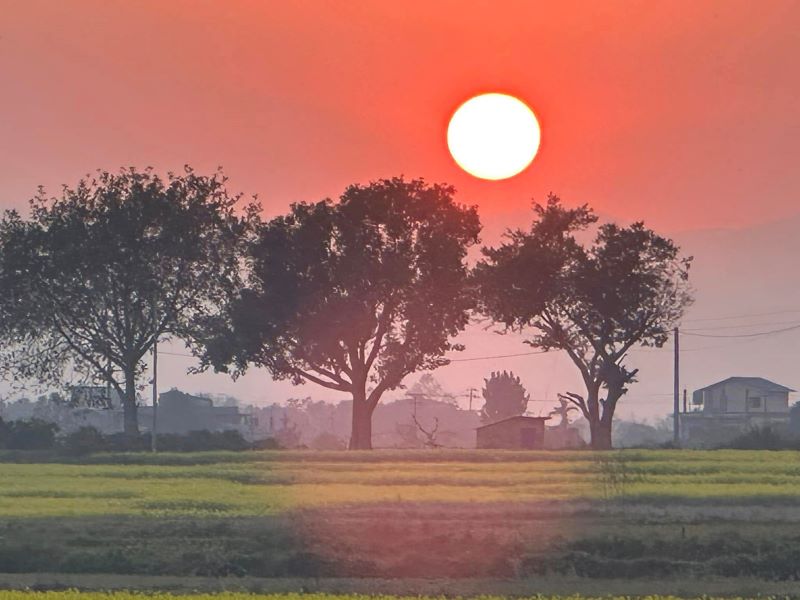 आज पुस महिनाको पहिलो आइतबार, सूर्यदेवको विशेष पूजा गरिँदै