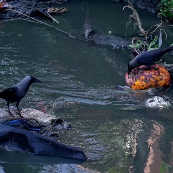 टुकुचा खोलामा ढल र थुप्रिएको फोहोर (तस्बिरहरू)